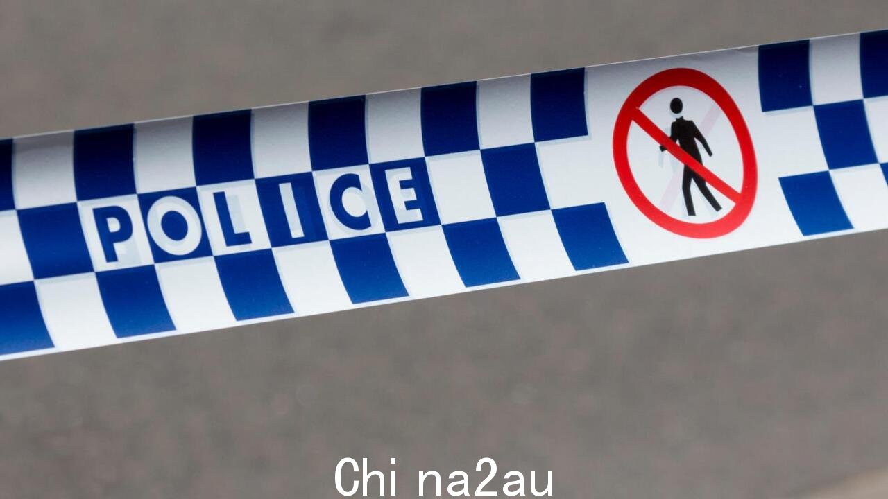 新南威尔士州警察部长“睡着了”诺兰泰瑟枪事件中的“驾驶者”” fetchpriority=