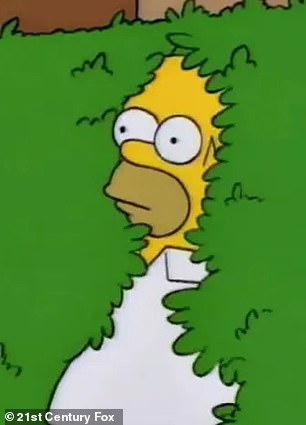 视觉效果来自该剧 1994 年的一集“Homer Loves Flanders”,它描绘了 Homer Simpson 慢慢撤退到树篱中