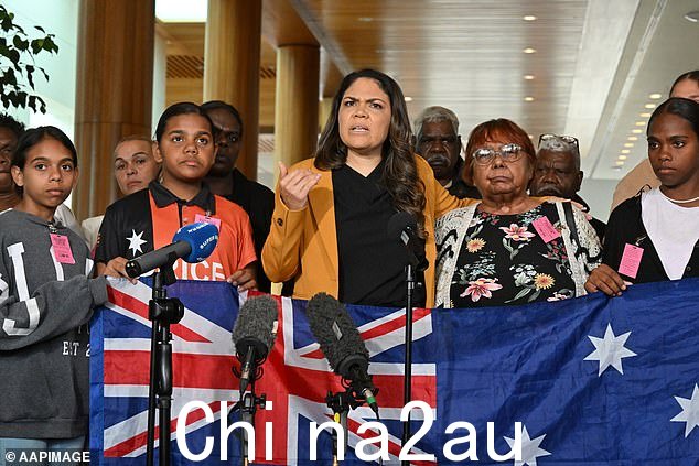 北领地自由党参议员表示,尽管另有保证,但没有什么'不会被列入考虑范围'