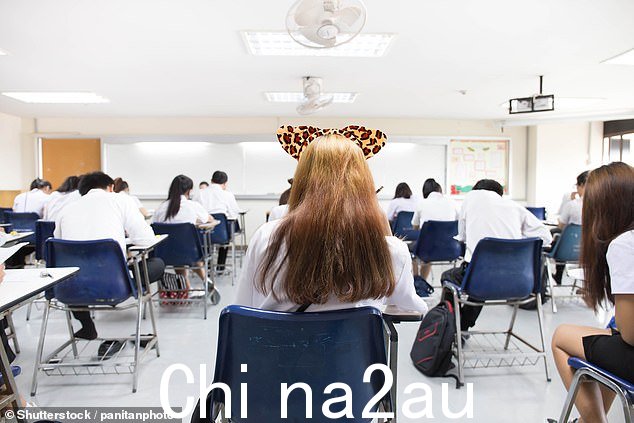 中学教师担心会因为剥夺儿童的权利或放纵奇怪的想法而受到纪律处分。 File image