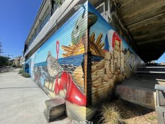 SMH 长篇大论：在哪里可以看到悉尼最好的街头艺术？