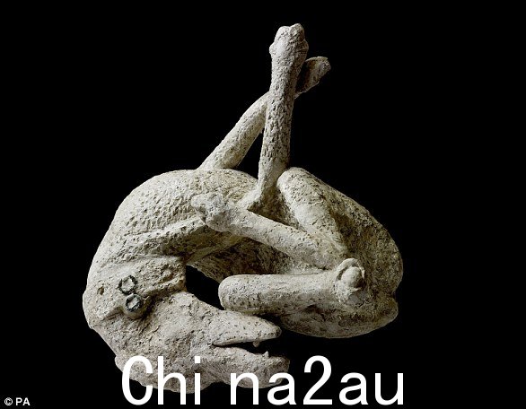 一只狗的石膏模型,来自公元 79 年庞贝城的俄耳甫斯之家。据信约有 30,000 人在混乱中死亡,至今仍有尸体被发现