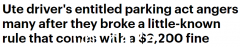 这样停车将面临2200美元巨额罚款！电动停车位经常被其他汽车违规停放。司机忍无可忍呼吁加强执法（图）