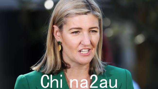 卫生部长 Shannon Fentiman 明确表示她坚决反对惩罚举报人。图片:Liam Kidston。
