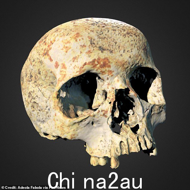 第一个问题是艾娃缺失的下颌骨,必须使用统计数据进行虚拟重建