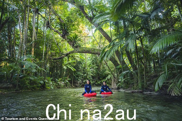 冒险进入古老的丹翠雨林,沿着丹翠河旅行
