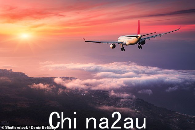 大部分航班都是从墨尔本飞往堪培拉的长达一小时的旅程,而且全部花费纳税人的钱(库存图片)