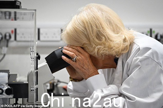 查理三世国王的妻子将她的白金鲍勃设计成她标志性的喇叭形,选择简单迷人的妆容来突出她的眼睛