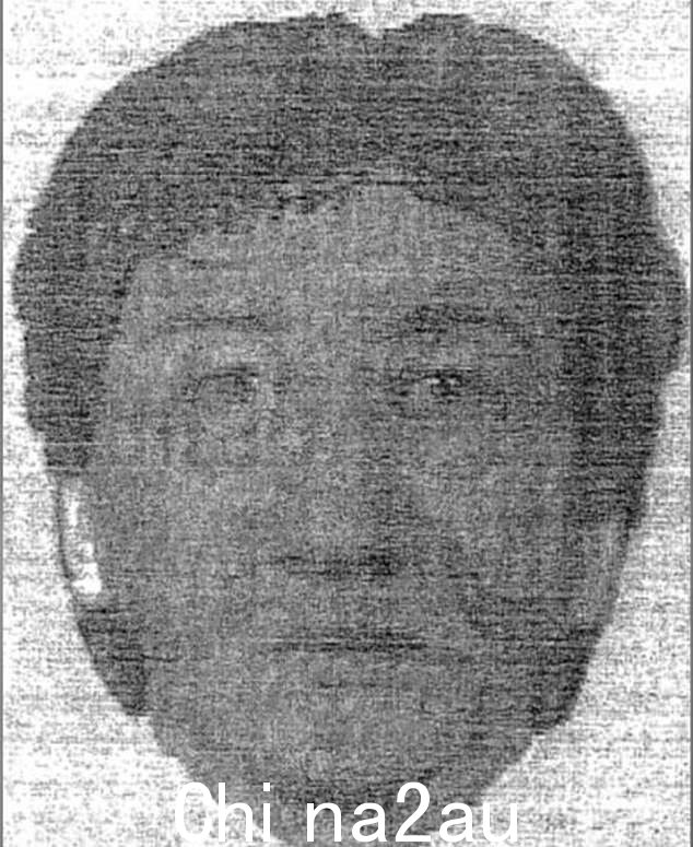 据说与 Dominique P '非常相似' 的 E-FIT