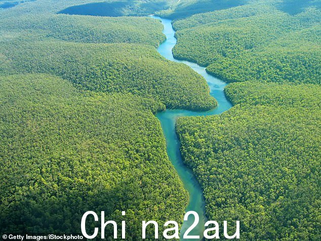 地球之肺:POP挑战的主要目标是亚马逊地区1.45亿英亩未指定公共土地的零森林砍伐
