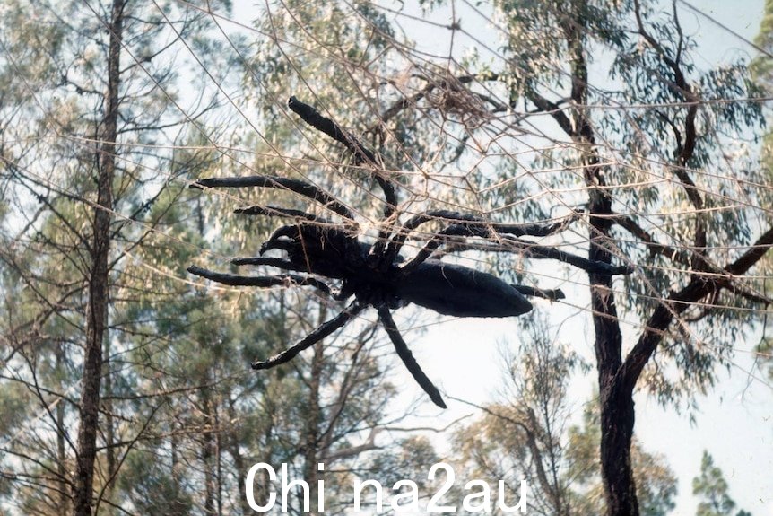 悬浮在空中的巨型蜘蛛雕塑