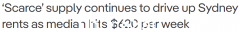 租金中位数为$620/周，悉尼租金涨幅最大！公寓租金一年涨19%，租房“压力大”（图）