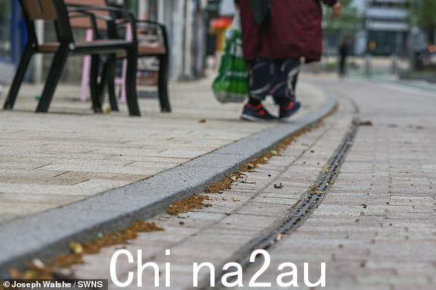 维多利亚街中间安装了一个低矮的路缘石(如图),供盲人和弱视人士敲击拐杖以帮助他们导航