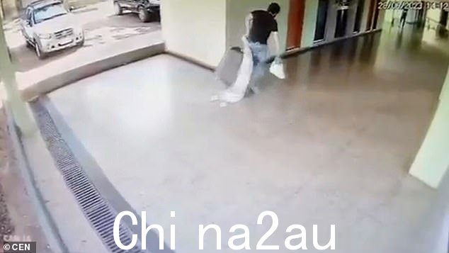 这段在巴西卢齐亚尼亚拍摄的视频显示,42 岁的丹尼尔·莫拉斯·比塔 (Daniel Moraes Bittar) 奋力拉着身后的行李箱爬上两段楼梯
