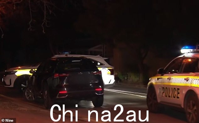 据称，四名少女在阿德莱德带领警方追捕之前，用刀威胁司机，劫持了一辆共享汽车
