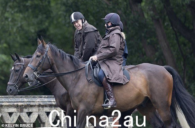 有时安德鲁看起来很高兴,尽管他的前妻说没有父母他很孤独