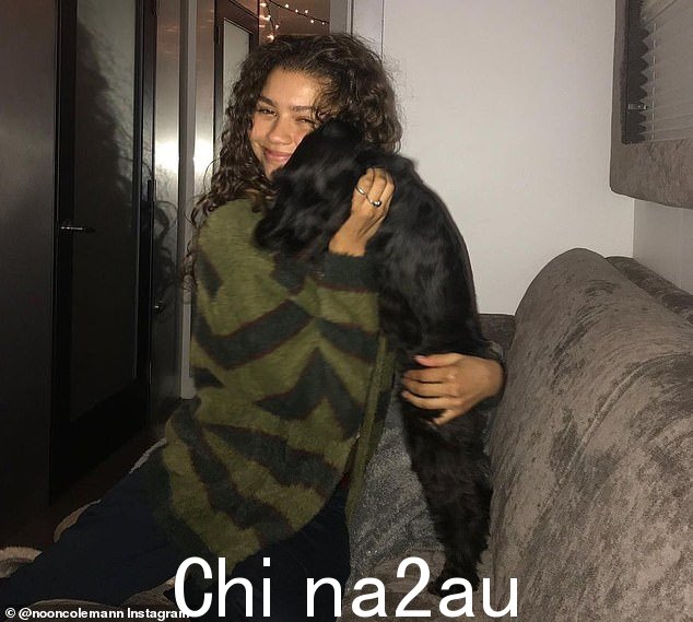 狗妈妈!Zendaya 是黑色迷你雪纳瑞犬 Noon 的骄傲主人,它的深色毛发类似于她自己闪亮的头发