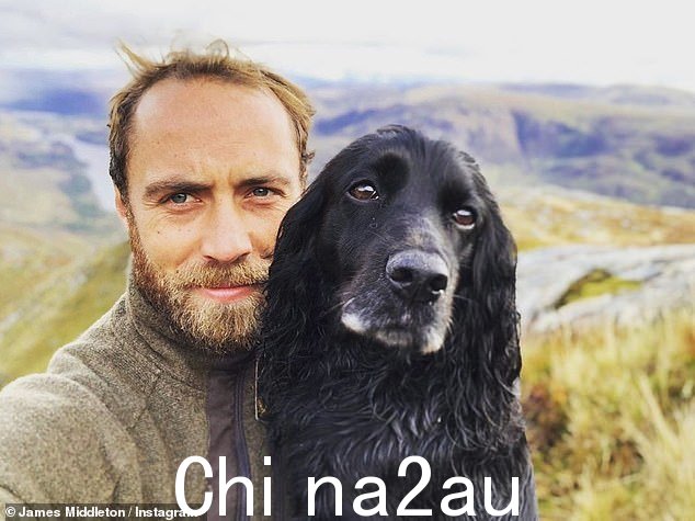 他目前有四只可卡犬:Zulu、Inka、Luna 和 Nala,还有一只名叫 Mabel 的金毛猎犬,去年夏天生了一窝八只小狗。图为:James 和他的狗 Ella 今年去世了