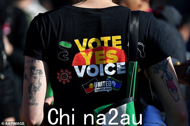 Albanese 先生无意分开他的提案,但他想向公众保证,该声音是一项“温和”的建议,有助于向政府通报当前情况