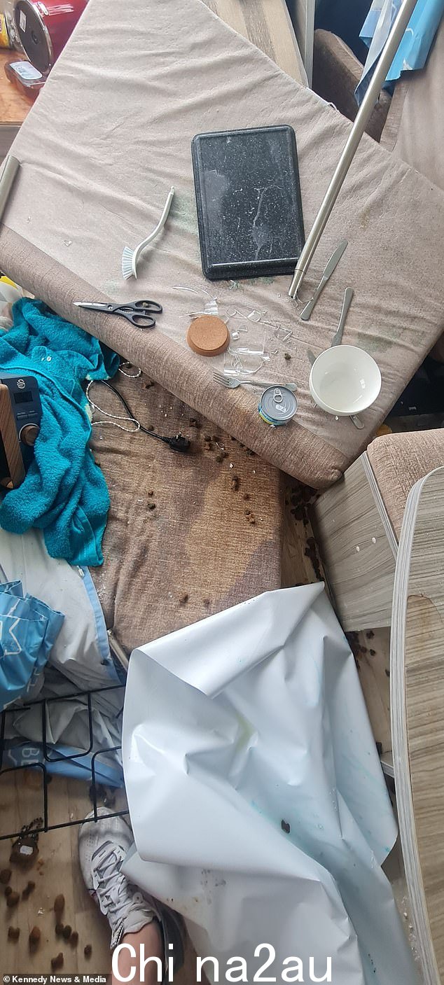 撕毁后,活动房屋各处散落着大量碎石和碎片