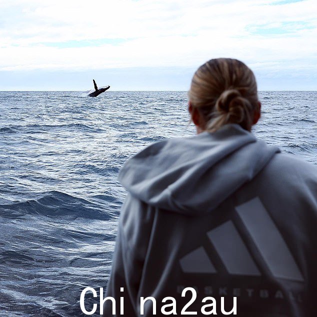 母狮队在周六的第一场世界杯比赛前前往澳大利亚阳光海岸观鲸