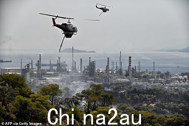 在迫切需要证据事实作为清醒决策基础的时候,辩论却被古怪的观点所污染谣言和炒作的半真半假