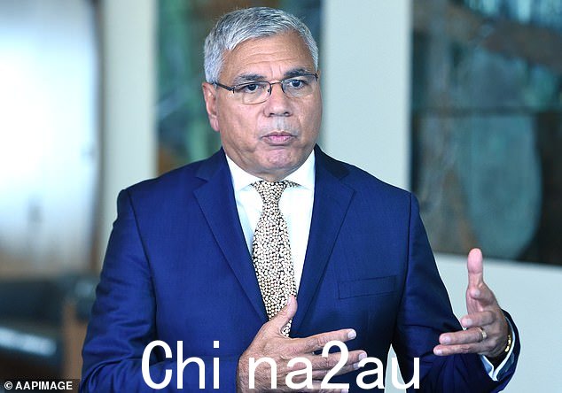 Warren Mundine 说恶毒的人身攻击迫使他试图结束自己的生命