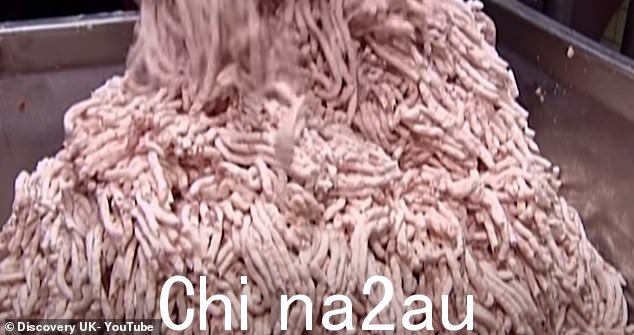 肉首先经过研磨过程,这会推动将产品穿过带穿孔的金属板