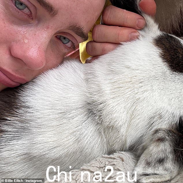 R.I.P. Pepper:歌手 Billie Eilish 周日正在哀悼,并在她的 Instagram 页面上透露她失去了心爱的狗 Pepper