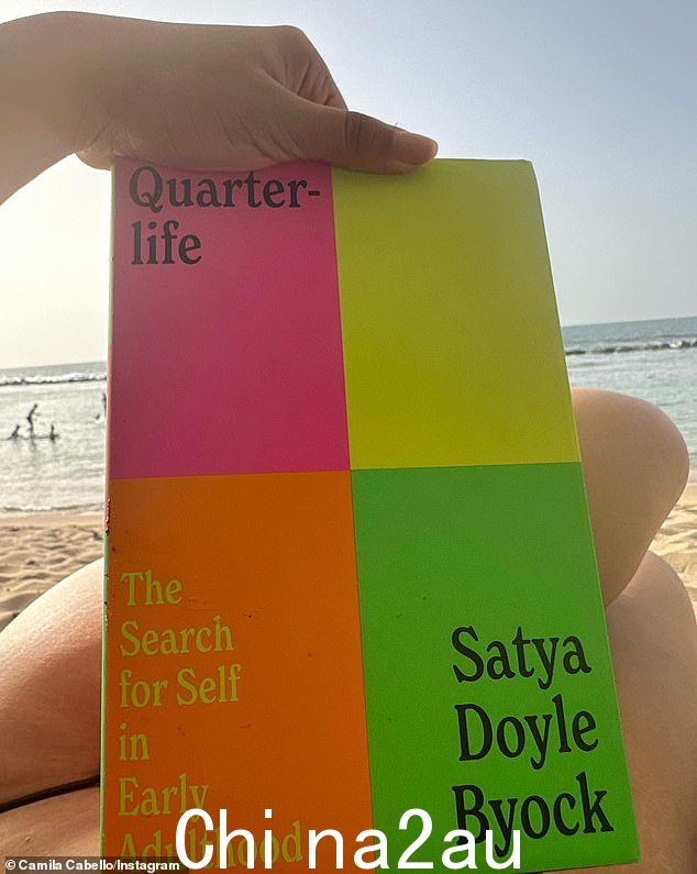 自助阅读:她还举起了 Satya Doyle Byock 的《成年早期的自我探索》一书