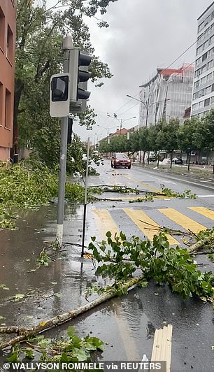 7 月 24 日瑞士拉绍德封暴风雨过后,街道上倒下的树木和树枝