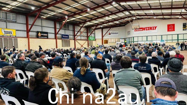 大约 600 名西澳大利亚农民集会本周，他们在卡坦宁的一个乡村大厅表达了他们对工党逐步取消活羊出口和西澳土著文化遗产法的担忧。图片：Facebook，David Littleproud