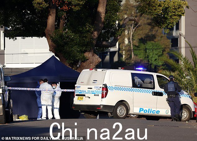 受害者身份尚未正式确认,经护理人员治疗多处枪伤,但当场死亡