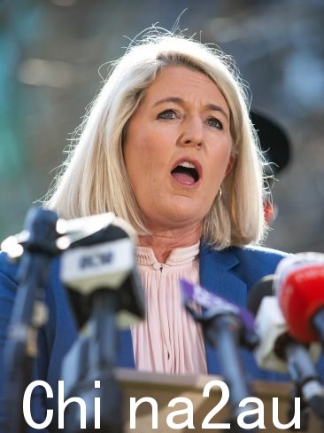 新南威尔士州警察部长 Yasmin Catley 排除了皇家委员会调查毒品如何走私进入该国并导致地盘争夺战的可能性犯罪团伙之间。图片:NCA NewsWire / Christian Gilles