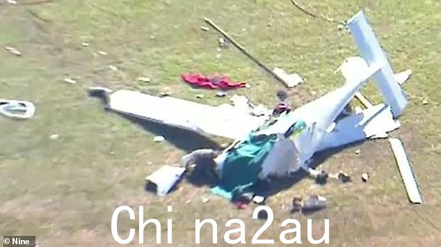 一对60多岁的男女在空中相撞中死亡。图为其中一架受损飞机