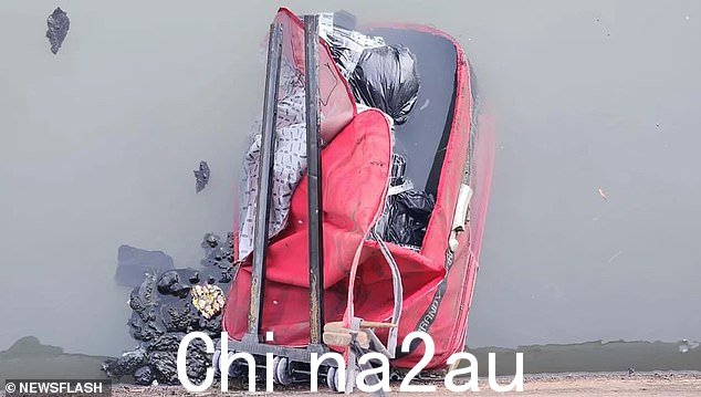 手上的四个字母纹身证实遗骸属于阿尔加巴,他是在这个红色手提箱中发现的