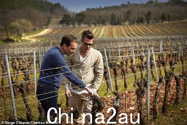 这对夫妇于 2008 年以约 2700 万美元的价格共同购买了名为 Chateau Miraval 的葡萄园,并成为该地产及其酿酒企业的 50/50 所有者