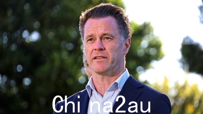 新南威尔士州州长 Chris Minns 决定为玛蒂尔达夫妇洗澡,为他们加油绿色和金色的歌剧院。图片:NewsWire / Nicholas Eagar