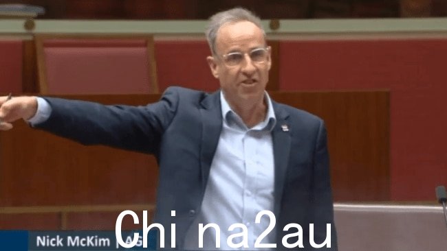 绿党参议员尼克·麦金 (Nick McKim) 周二晚上在参议院对马特·卡纳万 (Matt Canavan) 进行了严厉的攻击。图片:Facebook/Ben Fordham Live。