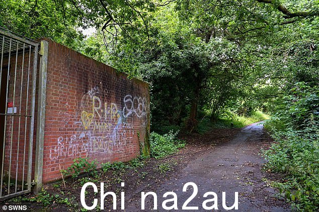 埃尔伯里公园路墙上的涂鸦,通往埃尔伯里山自然保护区。当地人称,在大批年轻人和毒贩涌入后,这里和金雀花山都已成为“禁区”