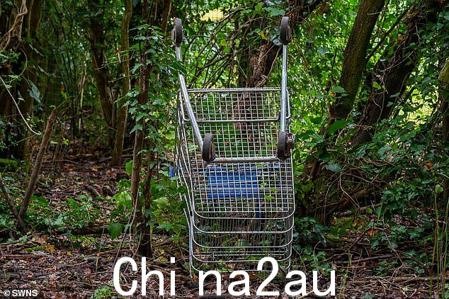 议员们表示,由于其他地方的需求,在山上安装闭路电视的要求“非常难以”满足。然而,他们向居民承诺“显着改善”