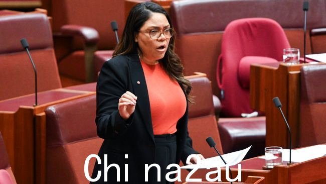 Jacinta Price 已回击指控反对运动使用人工智能(AI)生成原住民图像,以鼓励人们反对声音。图片:NCA NewsWire / Martin Ollman