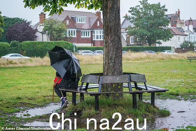 在伦敦西南部温布尔登公地的栗树下,一名公众撑着雨伞躲避倾盆大雨