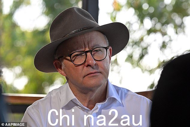 总理安东尼·阿尔巴内塞(Anthony Albanese)驳斥了公投中“赞成”票陷入麻烦的说法,称澳大利亚人投票之前还有很长的路要走” class=