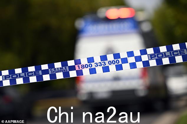 调查仍在继续,警方疯狂追捕一名 13 岁的驾驶者(库存图片)