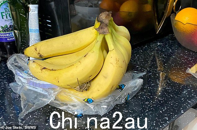 一只巴西流浪蜘蛛,如图,2021 年在英国布罗姆利的一堆香蕉中发现的