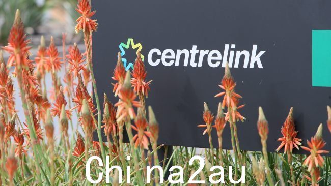 福利领取者必须满足严格的标准,并且完成任务以获得 Centrelink 的付款。图片:NCA NewsWire / Emma Brasier