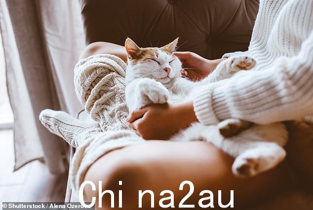澳大利亚是世界上最喜爱宠物的国家之一,69%的人拥有宠物