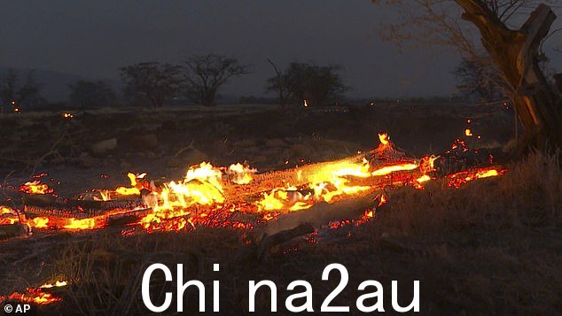 毛伊岛的机场仍在“高效运营”,官员们确认,尽管进行了疏散工作,欧胡岛和考艾岛仍然开放运营” class=