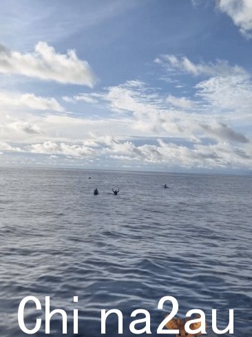 艾略特的伙伴们被发现成群地漂浮在冲浪板上。图片：Instagram